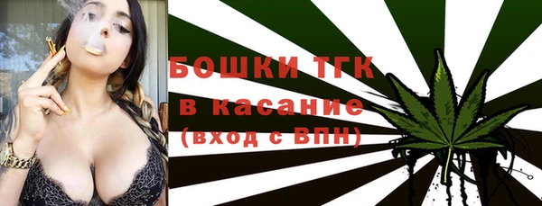молекула духа Осташков