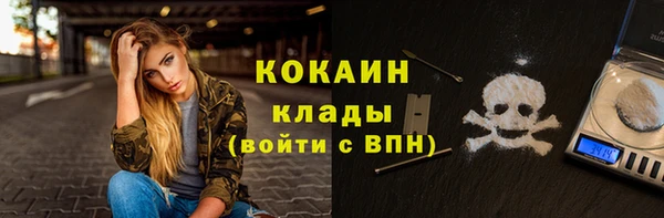 молекула духа Осташков