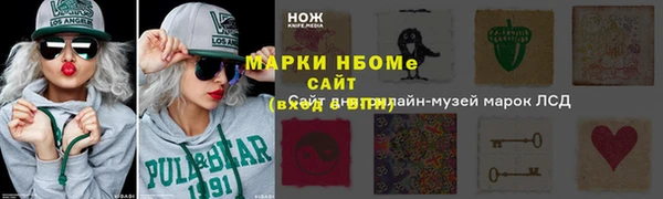 ПСИЛОЦИБИНОВЫЕ ГРИБЫ Пересвет