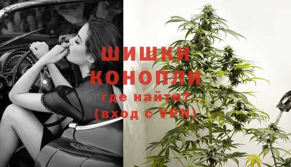 молекула духа Осташков