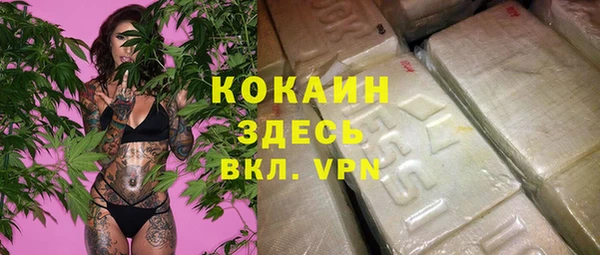 молекула духа Осташков