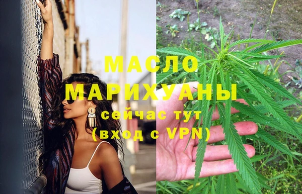 молекула духа Осташков