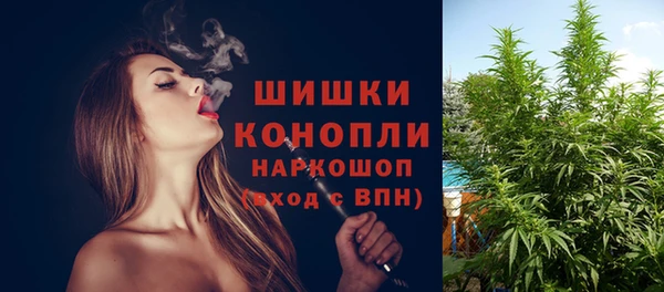 молекула духа Осташков