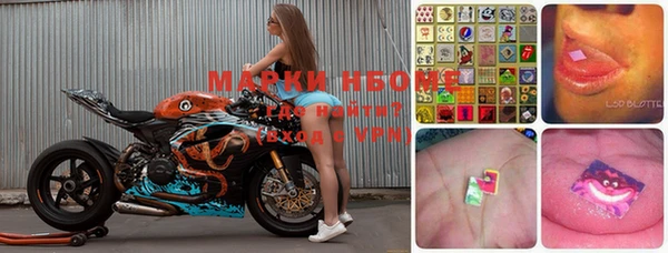 молекула духа Осташков