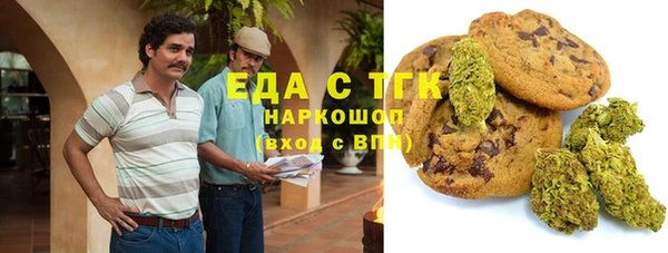 молекула духа Осташков