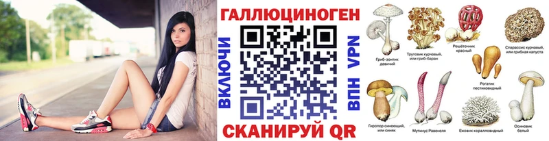 Псилоцибиновые грибы Cubensis  Купить где  Зерноград 